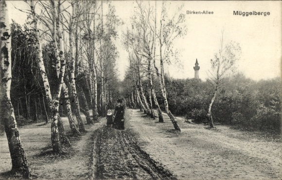Postcard Berlin Köpenick, Müggelberge, Birkenallee