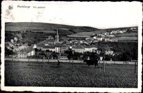 Postcard Martelange Martelange Wallonia Luxembourg, general view, church, houses, meadow, cow