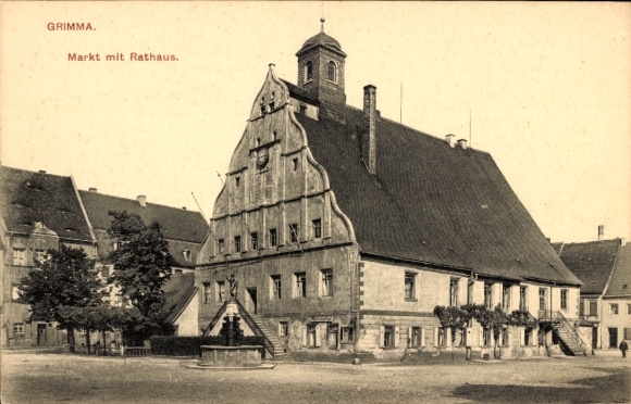Ak Grimma in Sachsen, Markt mit Rathaus, Brunnen