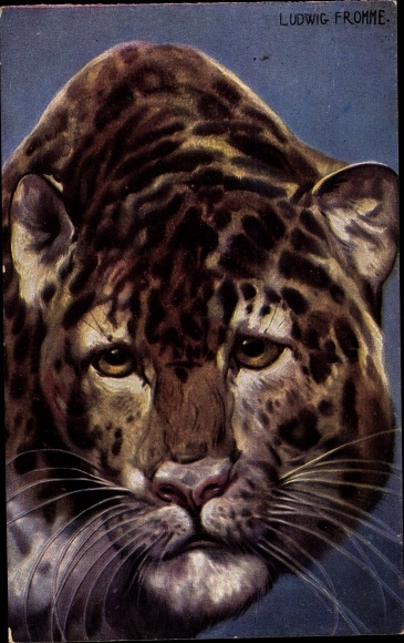 Artist PC Fromme, Ludwig, leopard, animal portrait