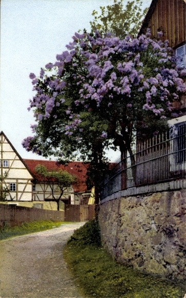 Postcard Nenke & Ostermaier Series 328 No. 4900, Lilac
