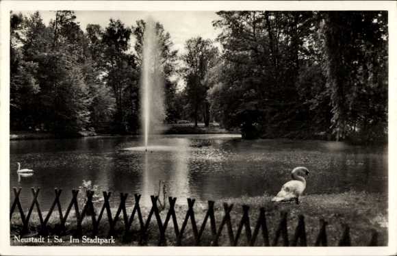 Postcard Neustadt in Sachsen, city park, swans