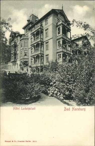 Ak Bad Harzburg am Harz, Hôtel Ludwigslust, herrschaftliches Gebäude, Pflanzen,  