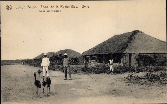 Postcard Uvira DR Congo Zaire, Zone de la Ruzizi Kivu, Grues, Kraniche