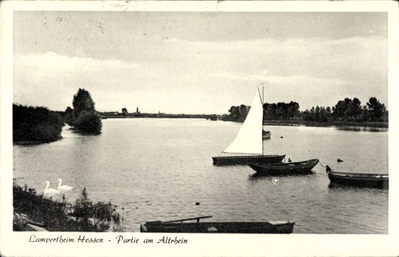 PC Lampertheim am Rhein Hesse, Old Rhine, swans, sailboat, boats
