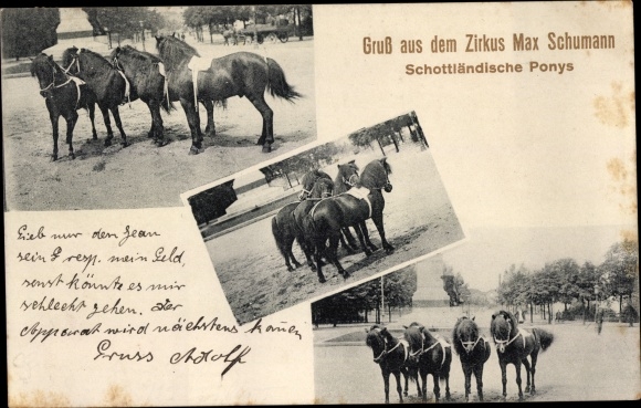 Postcard Bad Niederbronn, Circus Max Schumann, Scottish Ponies