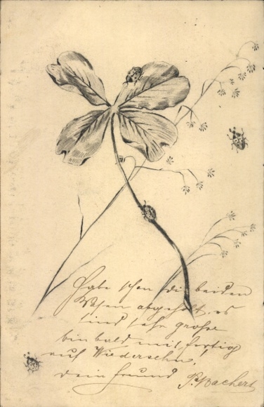 Künstler Ak Kleeblatt, Marienkäfer