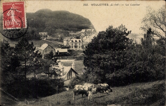 Postcard Veulettes sur Mer Seine Maritime, Catelier, grazing cows