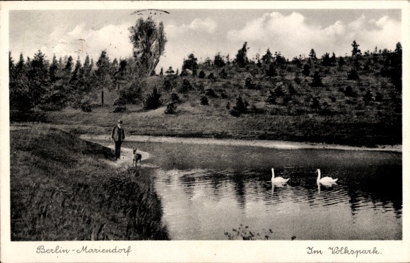 Ak Berlin Tempelhof Mariendorf, in het Volkspark