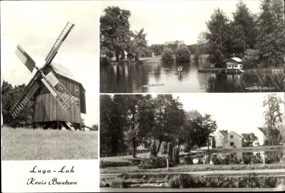 Ak Luga Neschwitz in Sachsen, Teilansichten, Windmühle