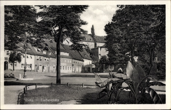 Ak Pirna, uitzicht op Tischerplatz met huizen, park
