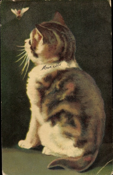 Postcard Kitten with a Bee