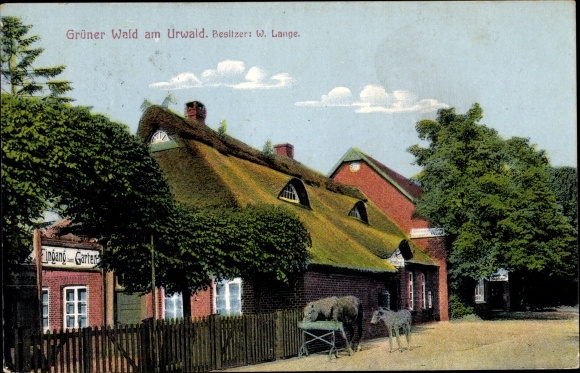Postcard Neuenburg Zetel in Friesland, Inn Grüner Wald am Jungle