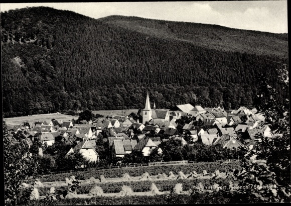 Ansichtkaart Freiohl Meschede in het Sauerland, overzicht