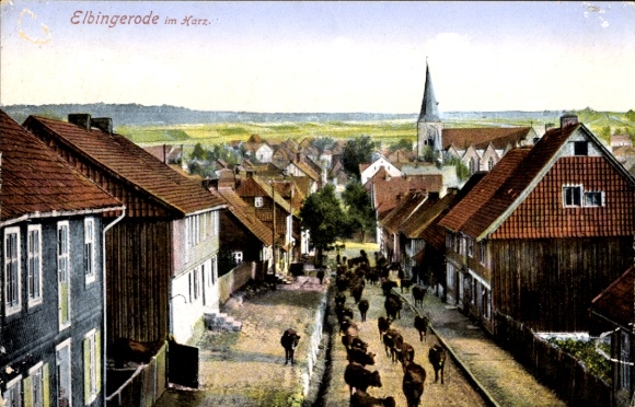 Postcard Elbingerode Oberharz am Brocken, Viehtrieb
