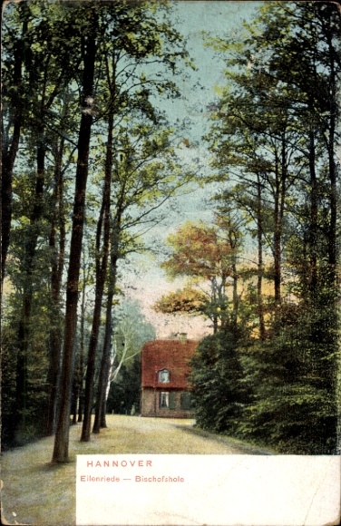 Postcard Eilenriede Hannover in Lower Saxony, forest path, trees, house, Eilenriede Bischofshole