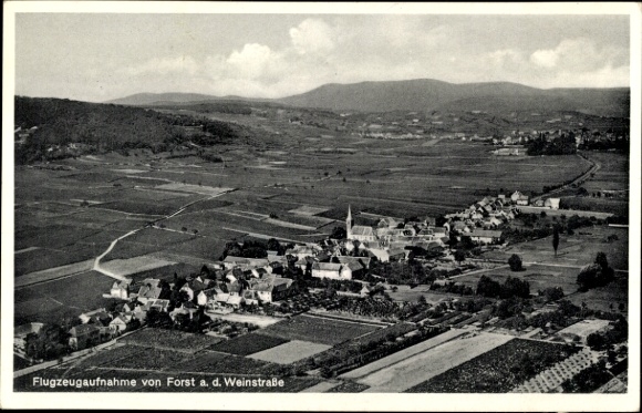 Postcard Forst an der Weinstraße Pfalz, aerial photograph, vineyards, village view, Alps in the background