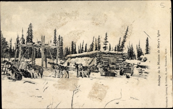 Ak Alaska USA, reizen in de arctische gebieden, Mary's Igloo, hondenslee