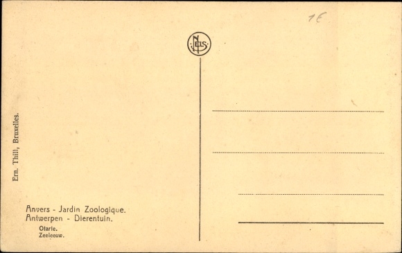 Postcard Anvers Antwerp Flandern, Jardin Zoologique, Robbe