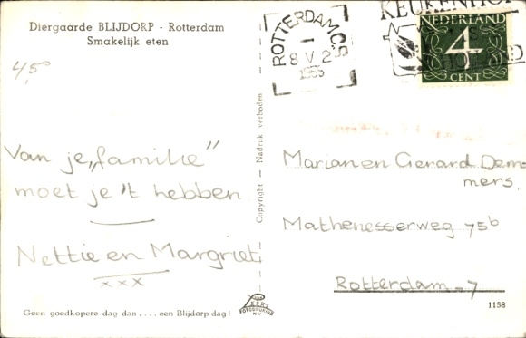 Postcard Rotterdam, Zoological Garden, Chimpanzee