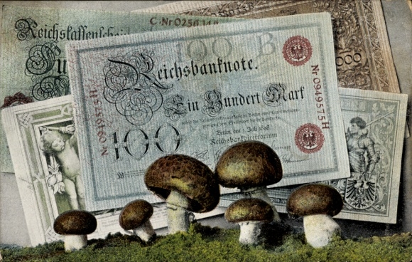 Banknot KP Reichs, sto marek, banknoty, grzyby
