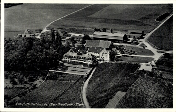 Postcard Ober Ingelheim am Rhein, aerial photograph