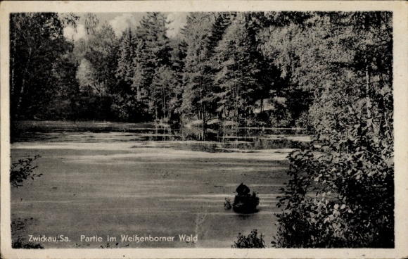 Ak Weißenborn Zwickau in Sachsen, Weißenborner Wald