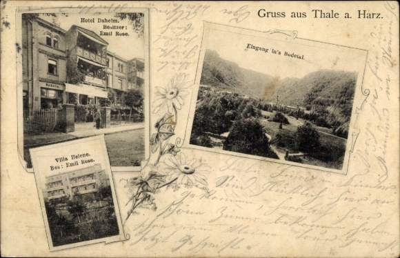 Ak Thale im Harz, Hotel Daheim, Inh. Emil Rose, Eingang ins Bodetal, Villa Helene