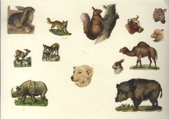 13 wafers wild animals, fox, rabbit, polar bear, wild boar, rhinoceros etc., approx. 7 x 8 cm to 3 x 2.5 cm