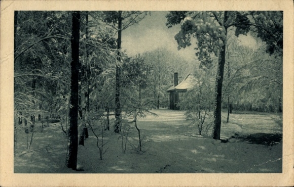 Postcard Berlin Tempelhof Lichtenrade, winter landscape, snow-covered trees, small wooden house in the background...