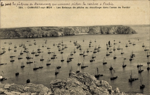 Postcard Camaret sur Mer Finistère, Les Bateaux de peche au mouillage dans l'anse de Penhir
