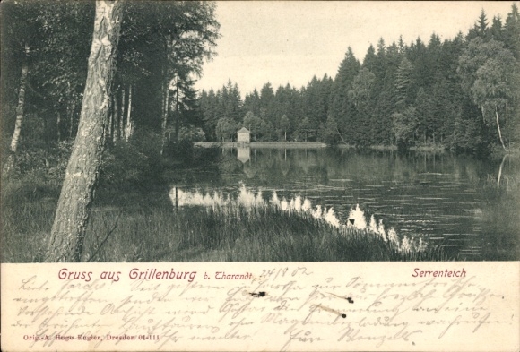 Postcard Grillenburg Tharandt, view of the Serrenteich