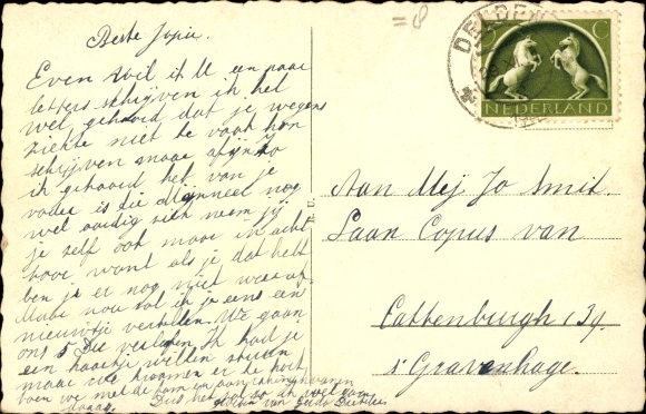 Postcard Goor Overijssel, Kastanjelaan, South Station