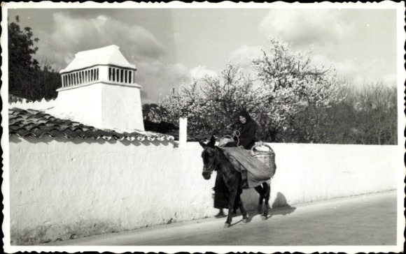 Photo Postcard rider on horse on the road, Montanheica-típico algacolo