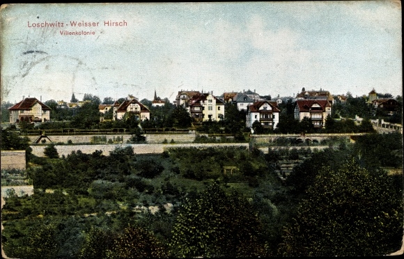 Ak Dresden Weißer Hirsch, Villenkolonie, Gesamtansicht