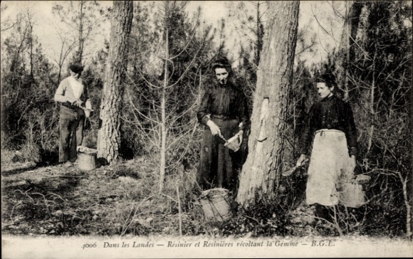 CPA Dans les Landes, Resinier et Resinières récoltant la Gemme
