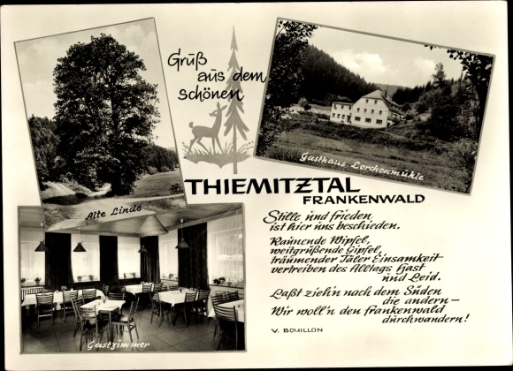 Postcard Bernstein Schwarzenbach am Wald in Oberfranken, Alte Linde, Inn Lorchenmühle