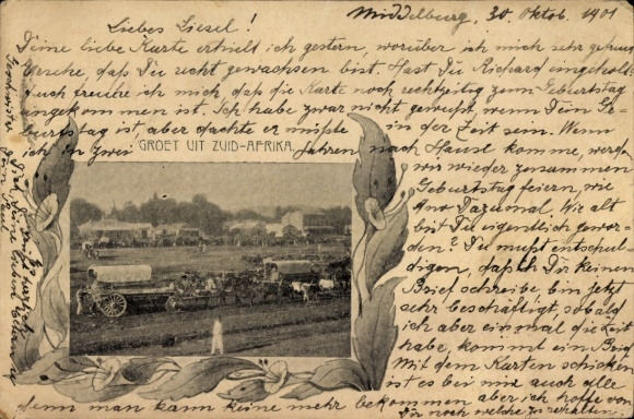 Postal stationery Passepartout Postcard South Africa, cattle carts