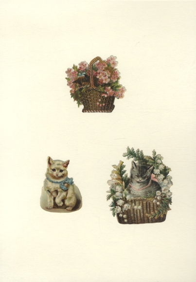 3 kotki waflowe z kokardką w koszu na kwiaty o wymiarach ok. 8 x 7 cm do 6 x 4,5 cm
