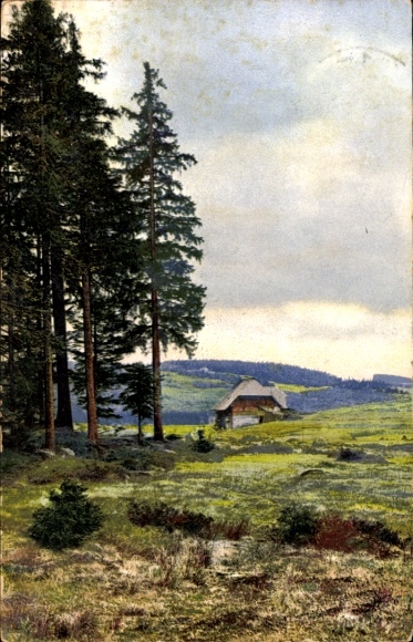 PC Nenke & Ostermaier Series 167 No. 2988, Spring, Black Forest, Waterfalls near Triberg