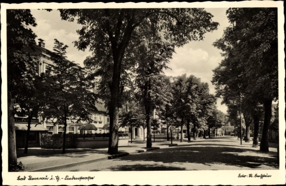 Ak Ilmenau in Thüringen, Lindenstraße, Allee