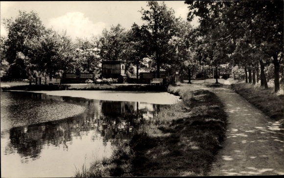 Ak Dellstedt in Dithmarschen, Ortspartie