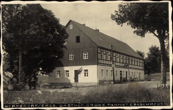 Photo Postcard Hermsdorf in the Ore Mountains, Gasthof Grüne Tanne, Buschhaus
