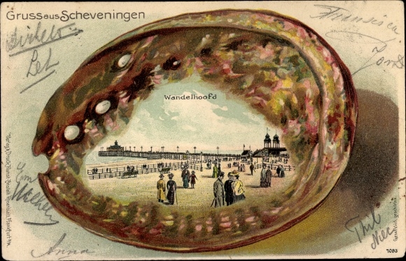 Präge Muschel Litho Scheveningen Den Haag Südholland, Wandelhoofd, Promenade