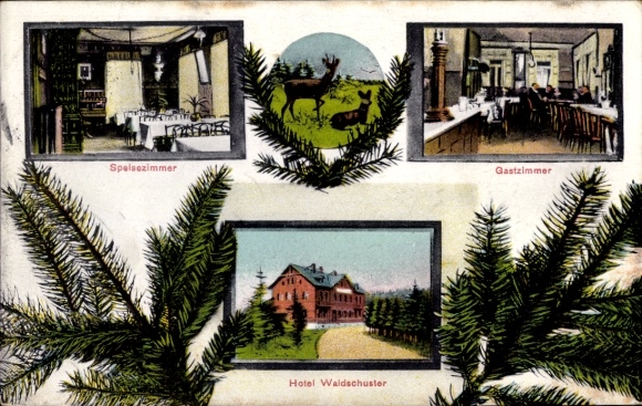 Postcard Georgengrün Auerbach im Vogtland, dining room, guest room, Hotel Waldschuster, idyllic ...