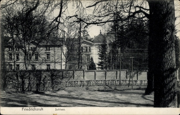 Ak Friedrichsruh Aumühle in het hertogdom Lauenburg, kasteel, parkachtige omgeving, bomen, architectuur