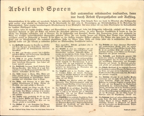 Timetable Sparkasse of the municipality of Lokstedt Hamburg, freshwater fish pike, plaice around 1930