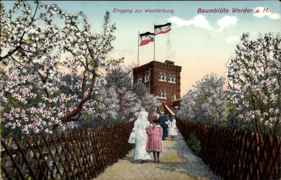 Ak Werder an der Havel, Eingang zur Wachtelburg, Baumblüte, Bäume, Menschen, Flaggen