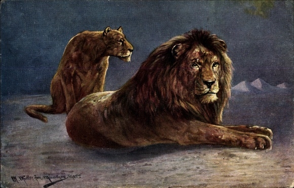 Artist PC Müller, M. jun., lioness and lion