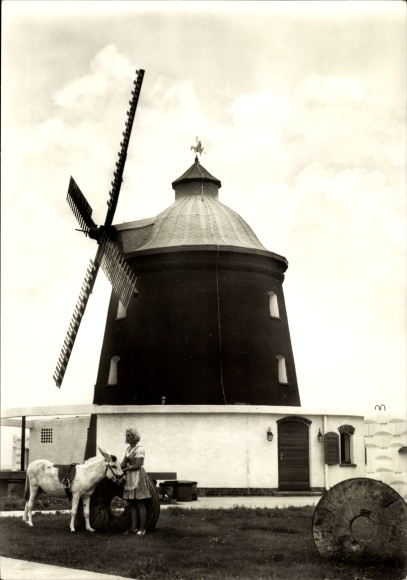 Postcard Neustadt Halle an der Saale, HO restaurant donkey mill, donkey, windmill
